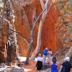 Standley Chasm