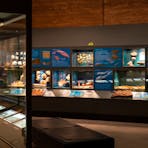 Natural Science Gallery