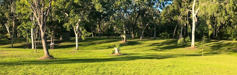 Camping area