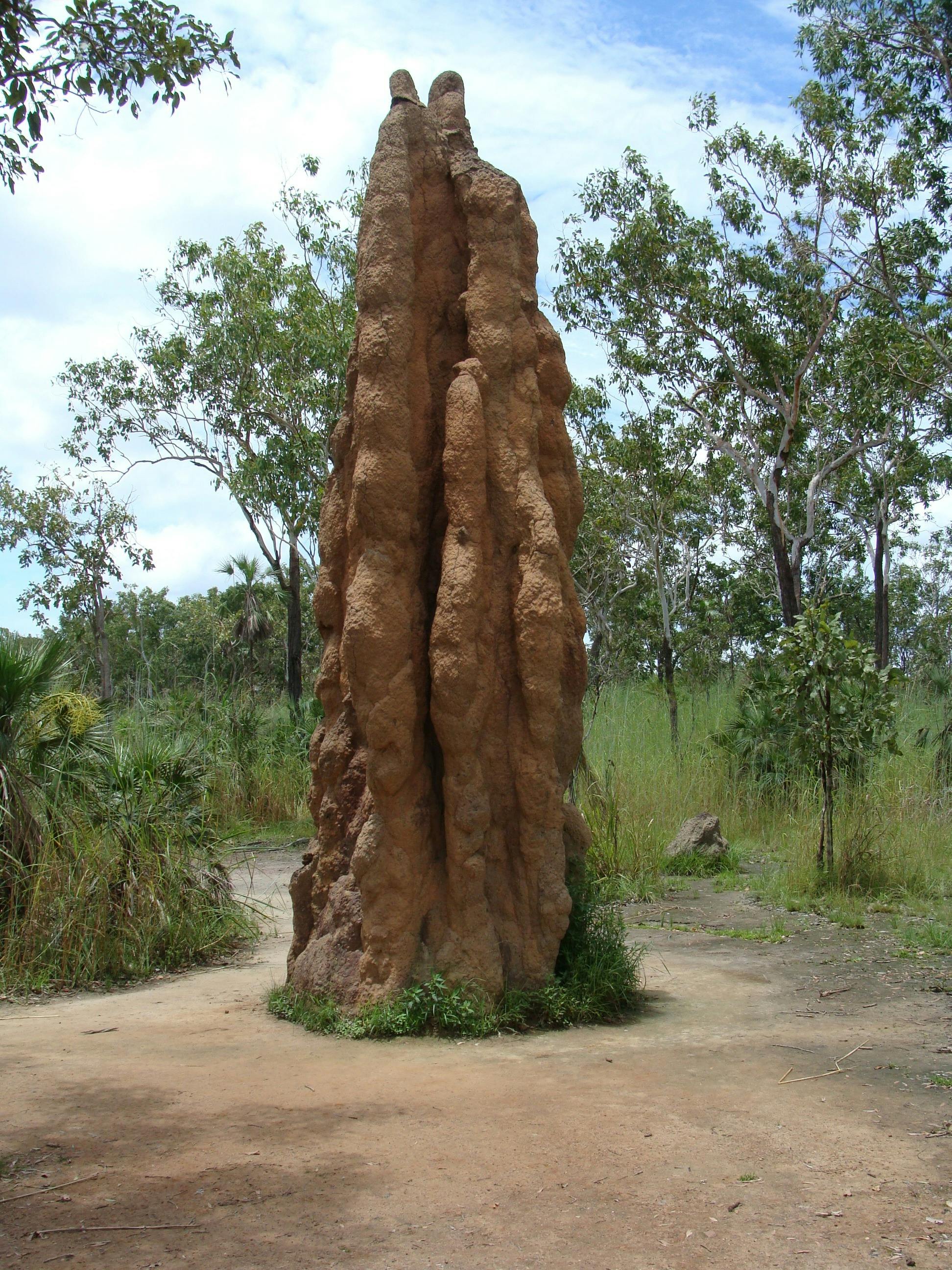 Litchfield National Park Ranger Talk