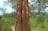 Litchfield National Park Ranger Talk
