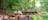 Waterfall and Lookout in the Rainforest