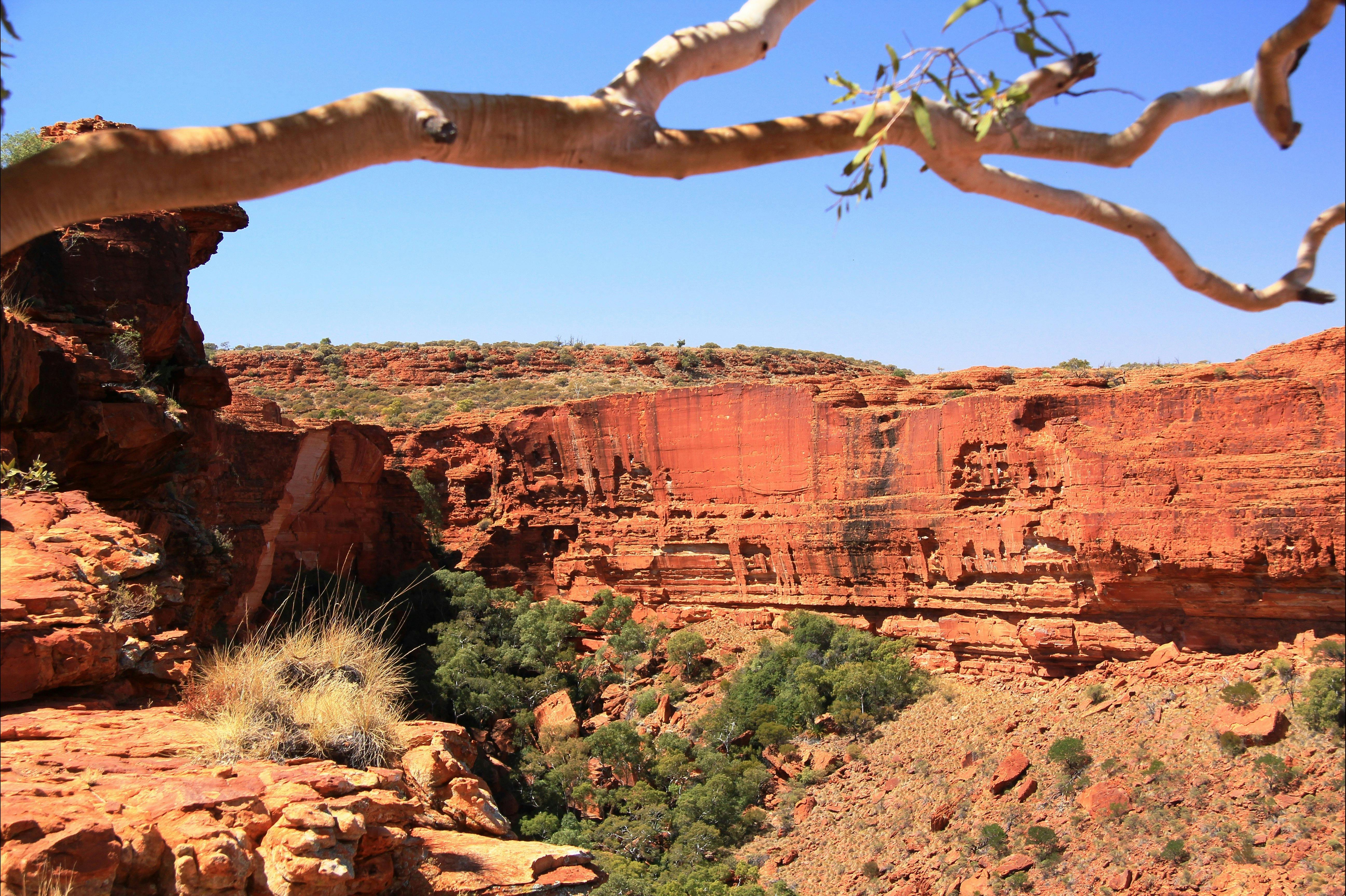 Tours at Kings Canyon MacDonald Ranges with Spirit Safaris