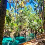 Mataranka Thermal Springs