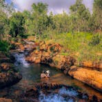 Couple swimming at Buley Rockhole in Litchfield National Park
