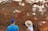 Kakadu National Park - 1 Day Tour from Darwin