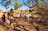 Uluru Adventure (Yulara to Alice Springs)