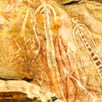 Rock Art in Arnhem Land tour Kapalga Travel