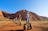 Uluru's Best & Segway at Sunset