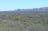 Rocky Gully