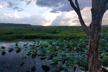 Fogg Dam Conservation Reserve