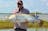 Helifishing Day Trips