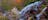 Jatbula Trail Walking Tours