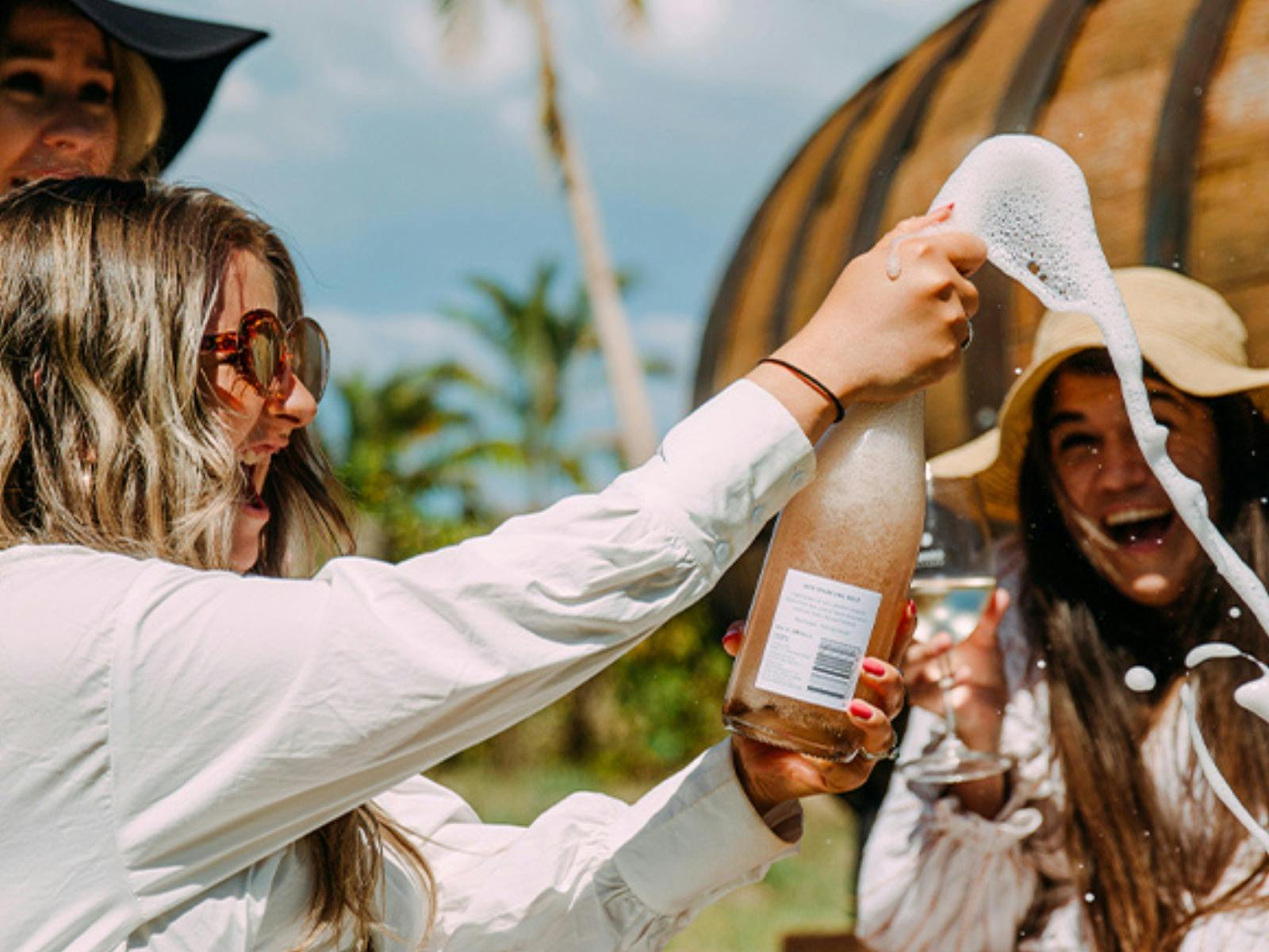 The Darwin Wine Party - Darwin Festival