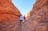 Kings Canyon & Outback Panoramas | Full Day Tour