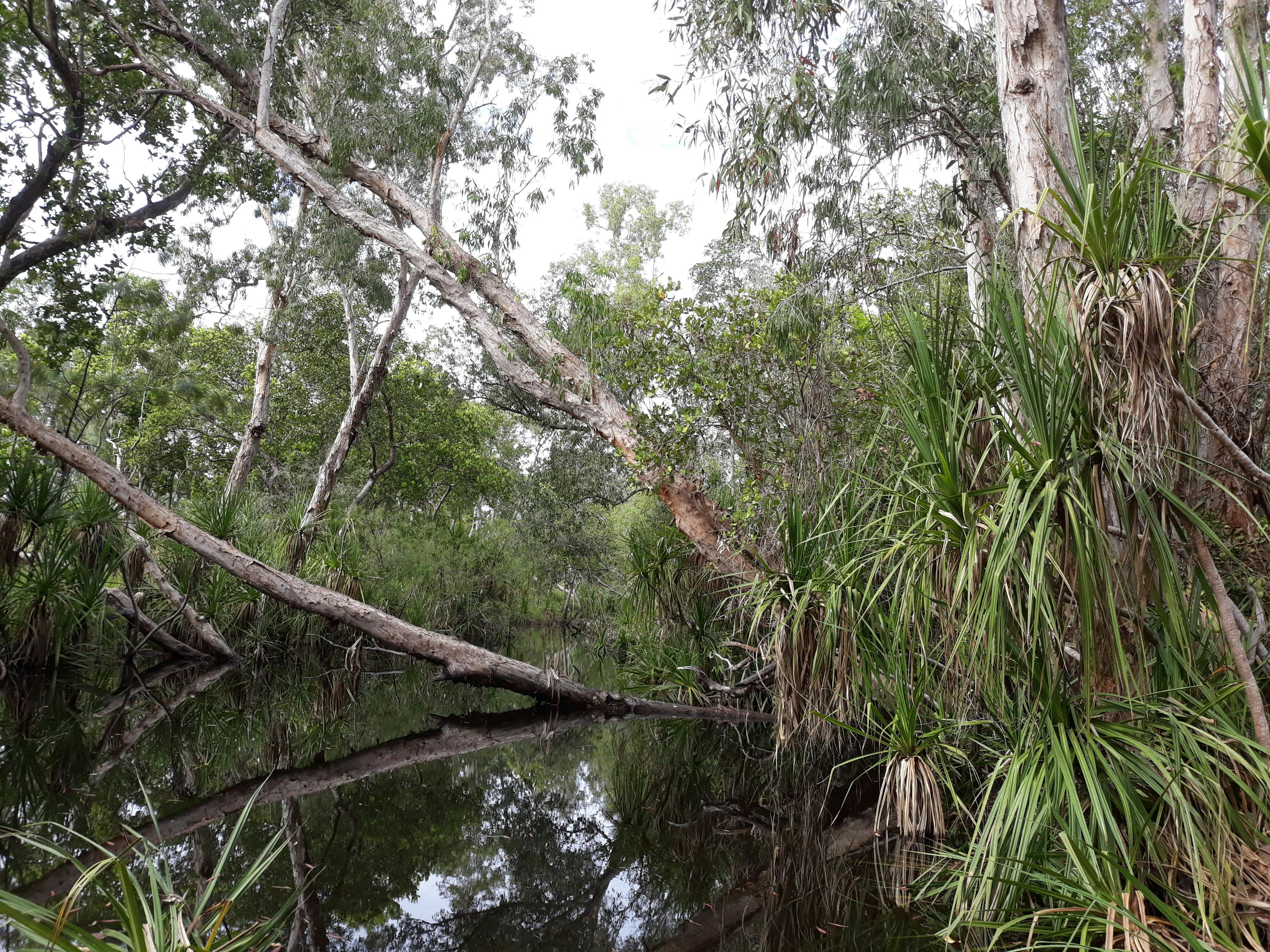 Charlotte River at Sampson Creek Nature Park.
