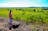5-Day – Private Kakadu, Katherine and Litchfield Tours