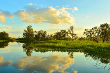 Kakadu & Mary River Scenic Flight