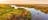 Wetland Cruises