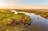 Wetland Cruises