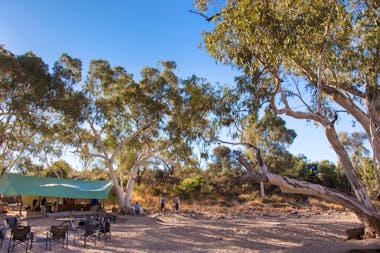 Larapinta Trail Walking Tours