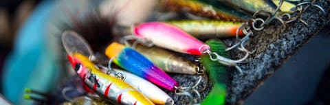 Fishing lures in different colours