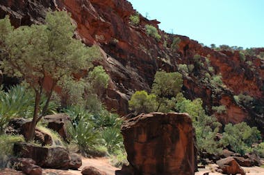 Larapinta Trail Transfers