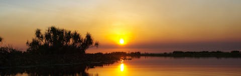 Mary River wetlands