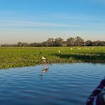 A person looks at the Yellow Water floodplain