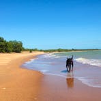 Wagait Beach Dog Friendly