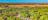 Discovery Parks - Katherine River