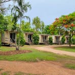 Cabins nestled among the tropical trees at the Lazy Lizard Caravan Park.