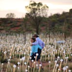 Field of Light with Outback Spirit Tours