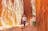 AAT Kings Day Tours (Red Centre)