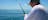 Half Day Fishing Charter
