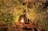 Awaken in the Wild - Litchfield 3 Day Camping experience - PRIVATE