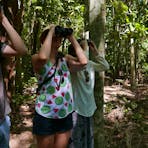 Holmes Jungle Nature Park, Birding