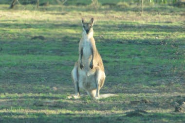Private NT Charters