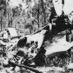 Wreckage of the B24J Milady