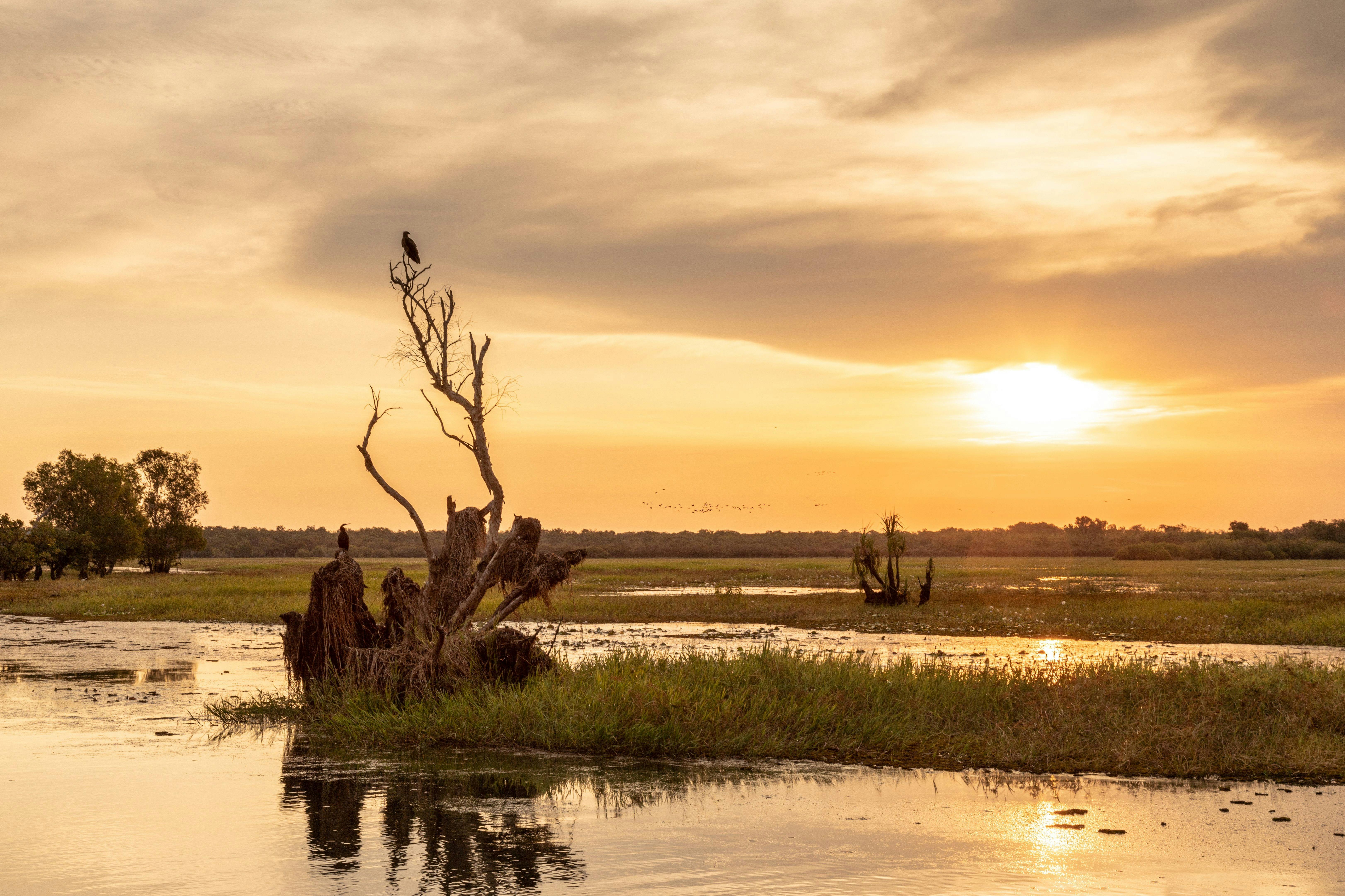 Yellow Water Sunset Cruise Kakadu Tourism