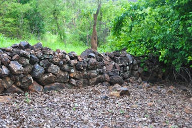 Beatrice Hill Well and Stone Fences