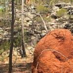 Groote Eylandt Touring Company