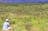 Mulga Camp