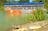 Croc Boat Cruise | Crocodylus Park