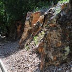 Hughes Avenue, porcellanite rock.