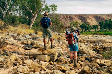 3 Day Larapinta Trail Experience