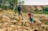 3 Day Larapinta Trail Experience
