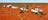 vehicles in great sandy desert