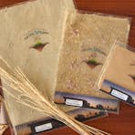 Curtin Springs Paper