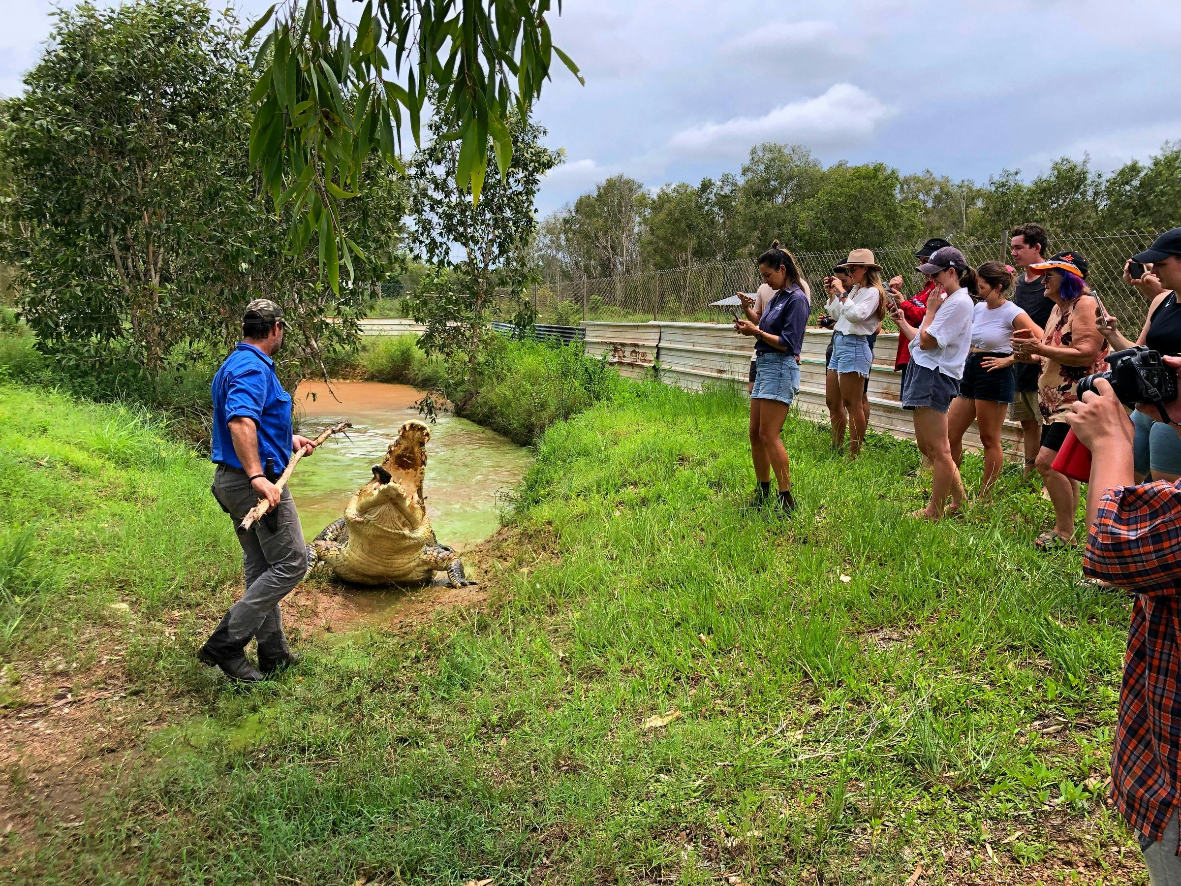 group of people watching croc feeding